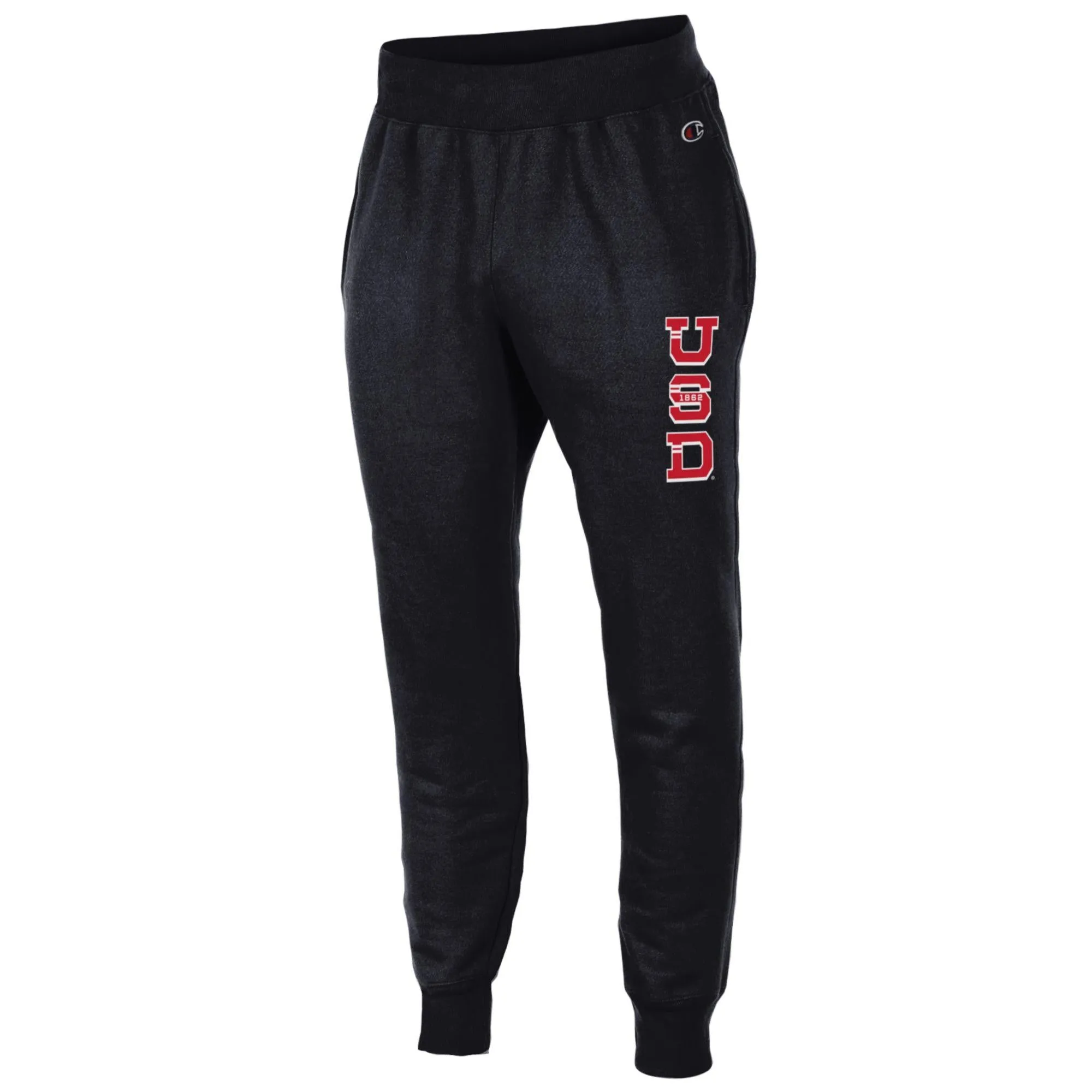 2024 Champion Reverse Weave Jogger