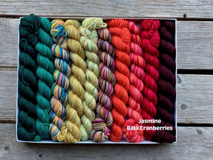 Jasmine  Pencil Box DK