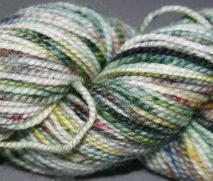 KPPPM (Koigu Painters palette Premium Merino)