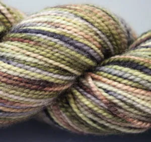 KPPPM (Koigu Painters palette Premium Merino)