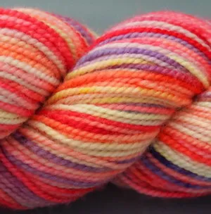 KPPPM (Koigu Painters palette Premium Merino)