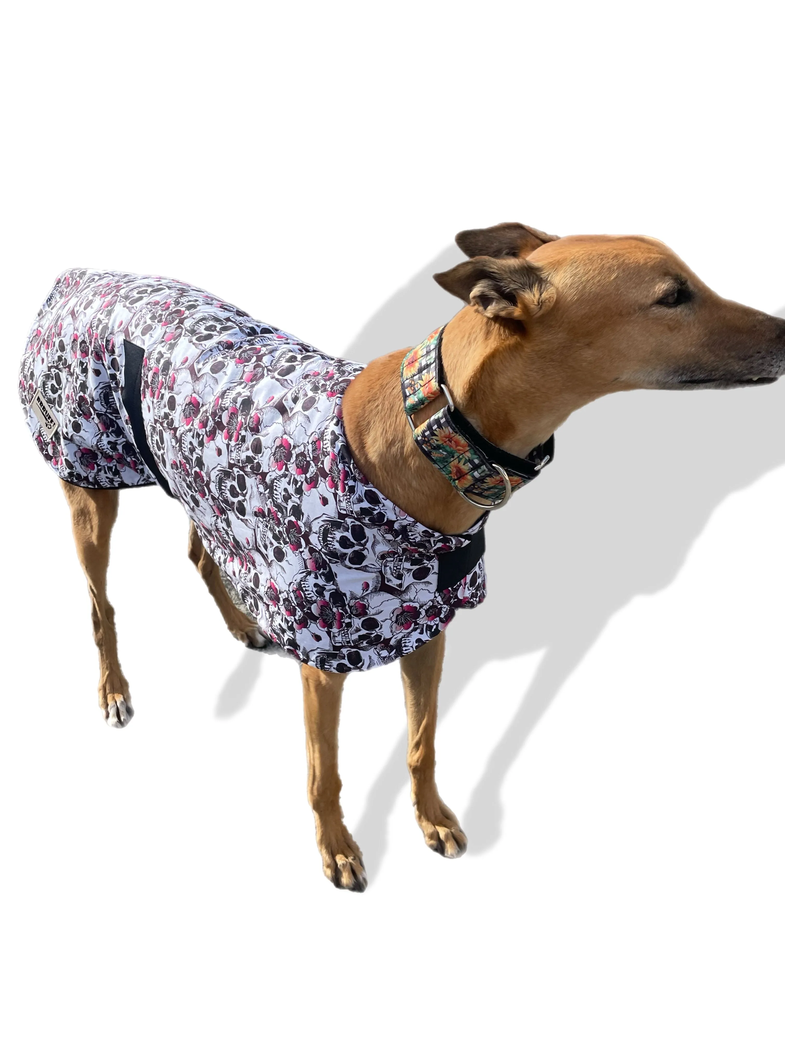 Spring skulls classic style Greyhound coat in a lightweight cotton & plush fleece combo washable