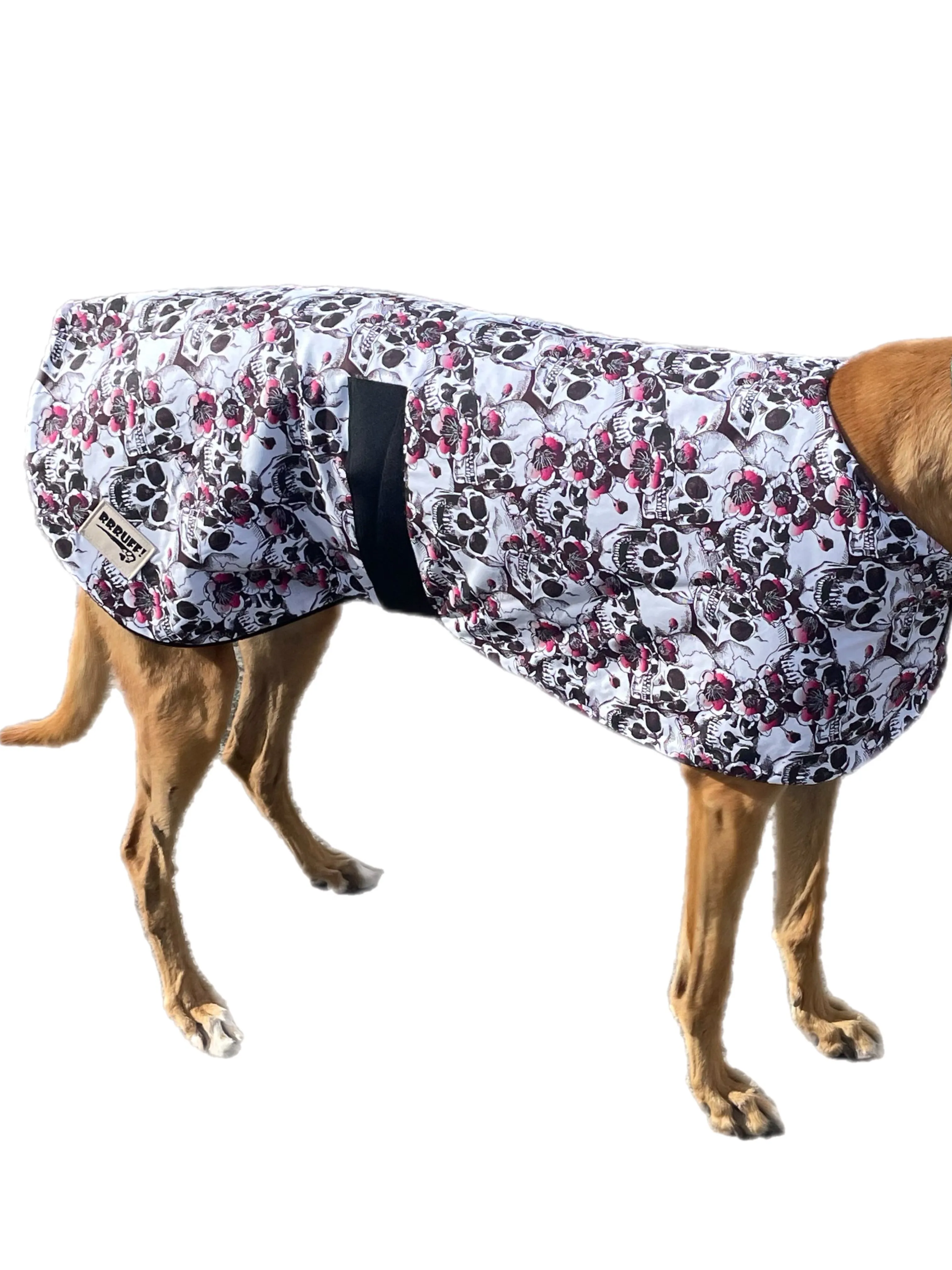Spring skulls classic style Greyhound coat in a lightweight cotton & plush fleece combo washable