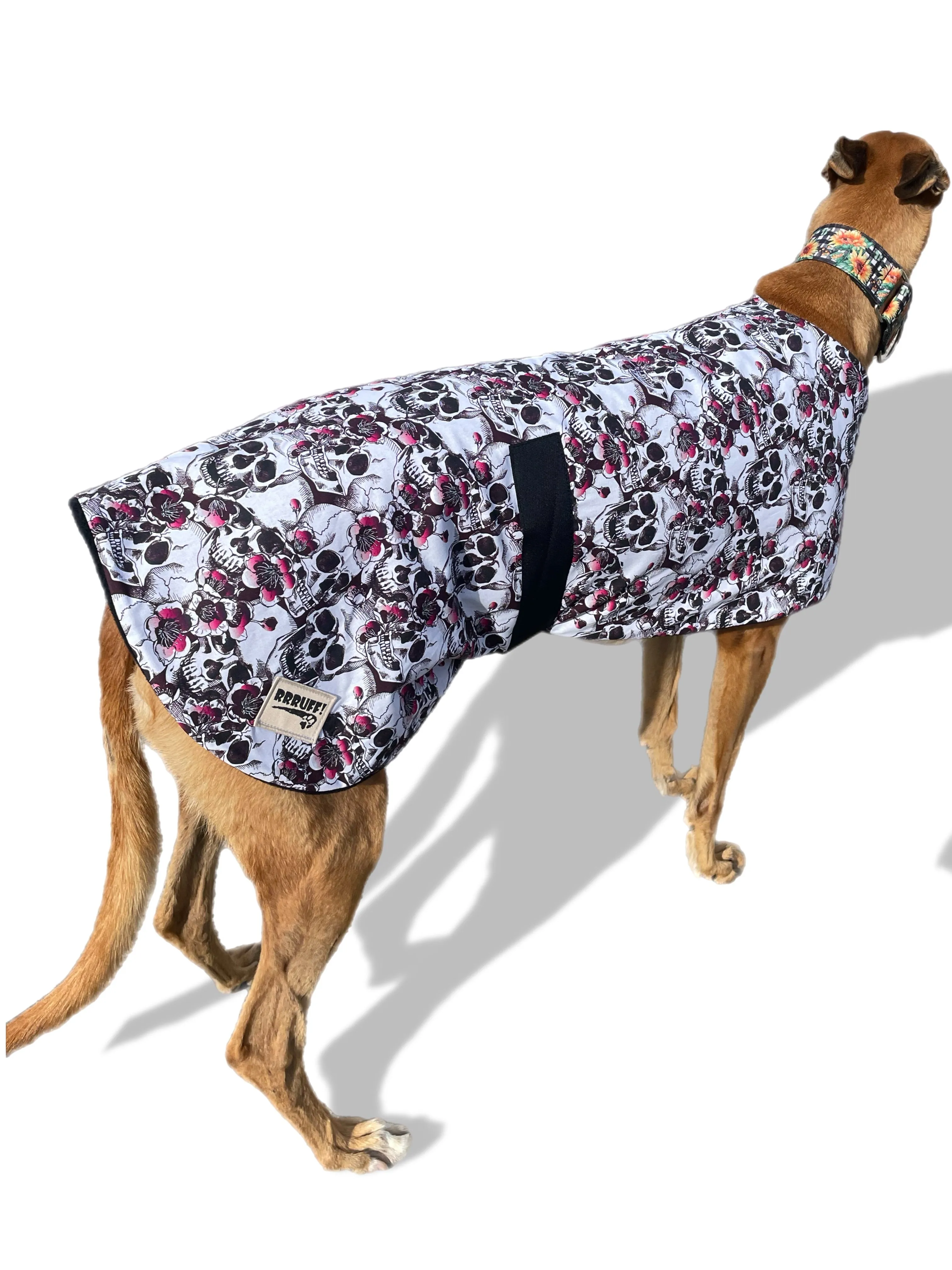 Spring skulls classic style Greyhound coat in a lightweight cotton & plush fleece combo washable